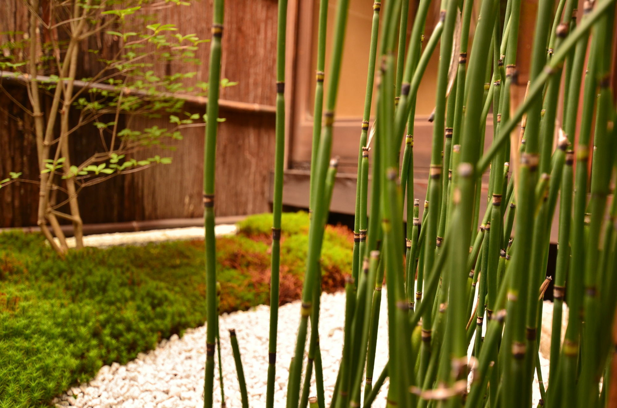 Hotel Grateful Kioto Exterior foto
